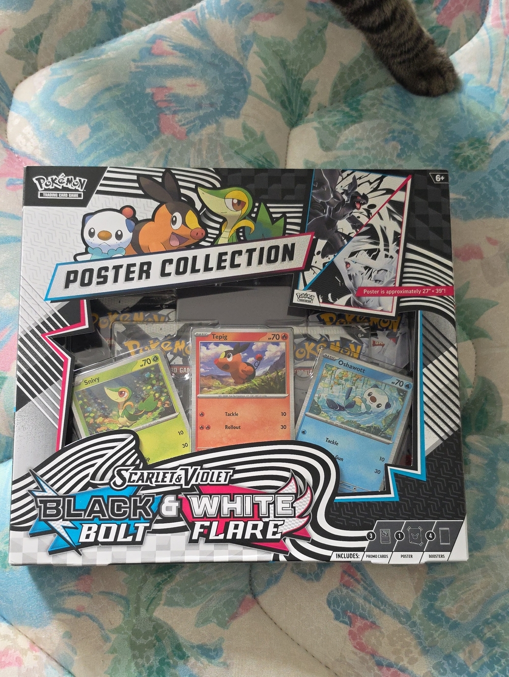 Pokemon Poster Collection Black & White Bolt Flare - Blue, Green, Orange